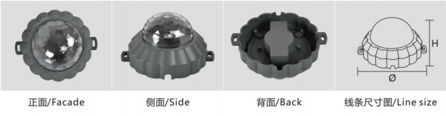 花开富贵细节.png